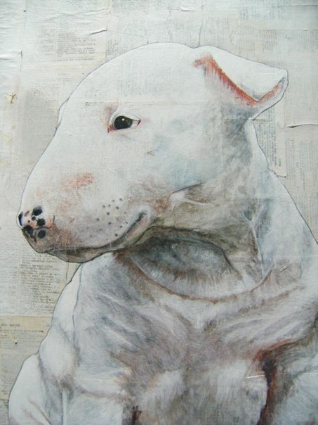 Бультерьеры на газетной бумаге от художника Т. Бакли - 3