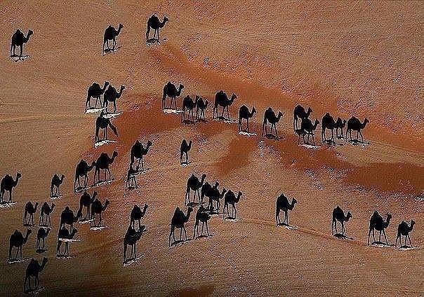 10 ���������� ��� ��������, ��� ���������� �������� � �������� - 10