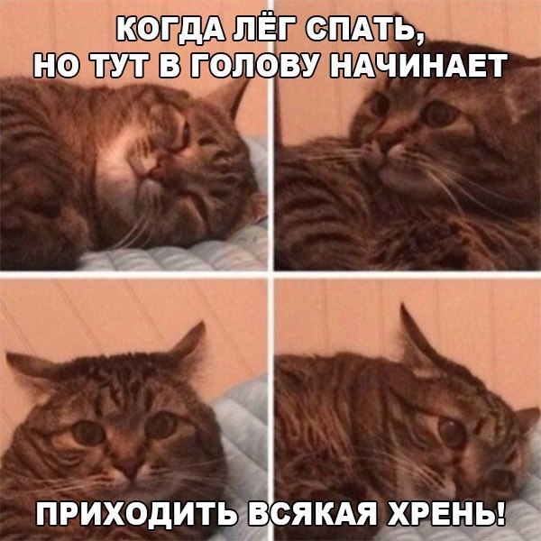 ������ �� ��� :D - 17 ������ 2017 � 18:34