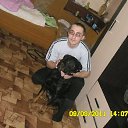 ���� ������, �����, 37 ��� - ��������� 11 ������ 2017