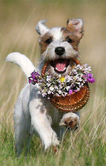 .     ,     .      ,   ...