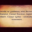 ���� ����, ������ - ��������� 8 ������ 2017 � ������ ��������