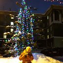 ���� ������, ������, 57 ��� - ��������� 5 ������� 2017 � ������ ���