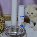 ���� �����, ������-��-����, 60 ��� - ��������� 3 ������� 2016 � ������ ���� ����������