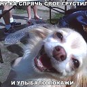 ���� ������, �����-��������� - ��������� 5 ������� 2016 � ������ ������ ��������