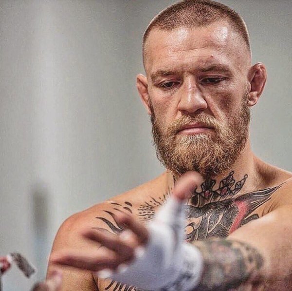 Ƹ     . Ƹ    .  ...