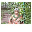 ���� �����, ������� - ��������� 20 ������� 2017 � ������ ���� ����������