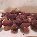 ����� ������� ������ � ����� �����. �� ������� ���� ����������