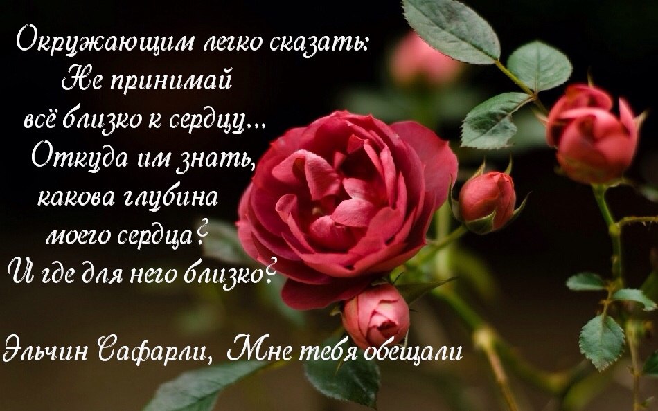   - 7  2016  11:12