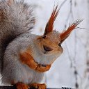 ���� ������, ������ - ��������� 5 ������� 2016 � ������ ��������