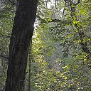  ,  -  6  2016       1  2016 