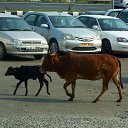 �������� ��������� �������� ��� �������. �� ������� ����'16�