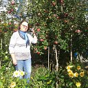 ���� ������, ���������, 71 ��� - ��������� 8 ������� 2016 � ������ ������ ��������