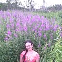 ���� Sasaya, ������������, 30 ��� - ��������� 6 ������� 2016 � ������ ���� ����������