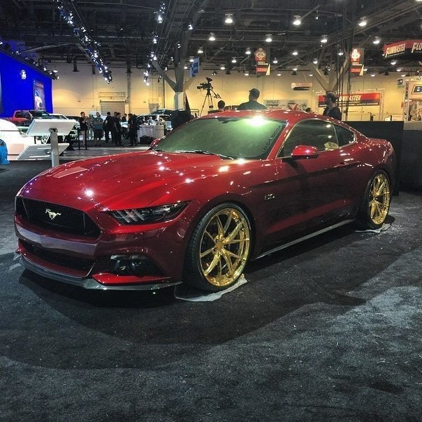 Mustang' 2015   . - 2