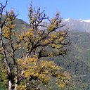 ���� ������, �����, 60 ��� - ��������� 14 ������� 2016 � ������ ���� ����������