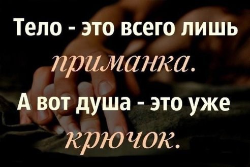 .Life.Is.Life. - 28  2016  13:48