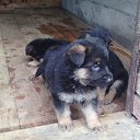 ���� ������, ������, 52 ���� - ��������� 18 �������� 2016 � ������ ���� ����������