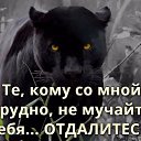 ���� �������, ������ - ��������� 17 ������� 2016 � ������ ���� ����������