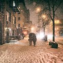 ���� ����, ����� - ��������� 13 ������ 2016 � ������ ���� ����������