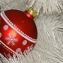 ���� �����, �����, 61 ��� - ��������� 24 ������� 2016 � ������ �������