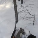 ���� �������, ����������, 46 ��� - ��������� 15 ������� 2016 � ������ ���� ����������
