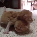 ���� Olga, �������, 60 ��� - ��������� 23 �������� 2016 � ������ ������