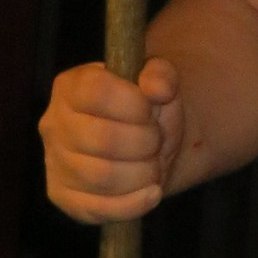 + Malec +, ������, 41 ���