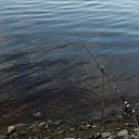 ���� ����, �����, 86 ��� - ��������� 28 ������ 2016 � ������ ���� ����������