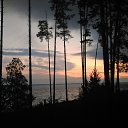 ����� �� ����������� ���� �� ������� ������� �������� � �����������