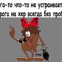 ���� �����, �������� - ��������� 14 ������� 2016 � ������ ������ ��������