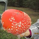 �� ������� ��? �� ������� ���� ����������