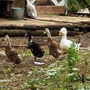 ���� �������, ������� - ��������� 21 �������� 2016 � ������ ��� ���������.�