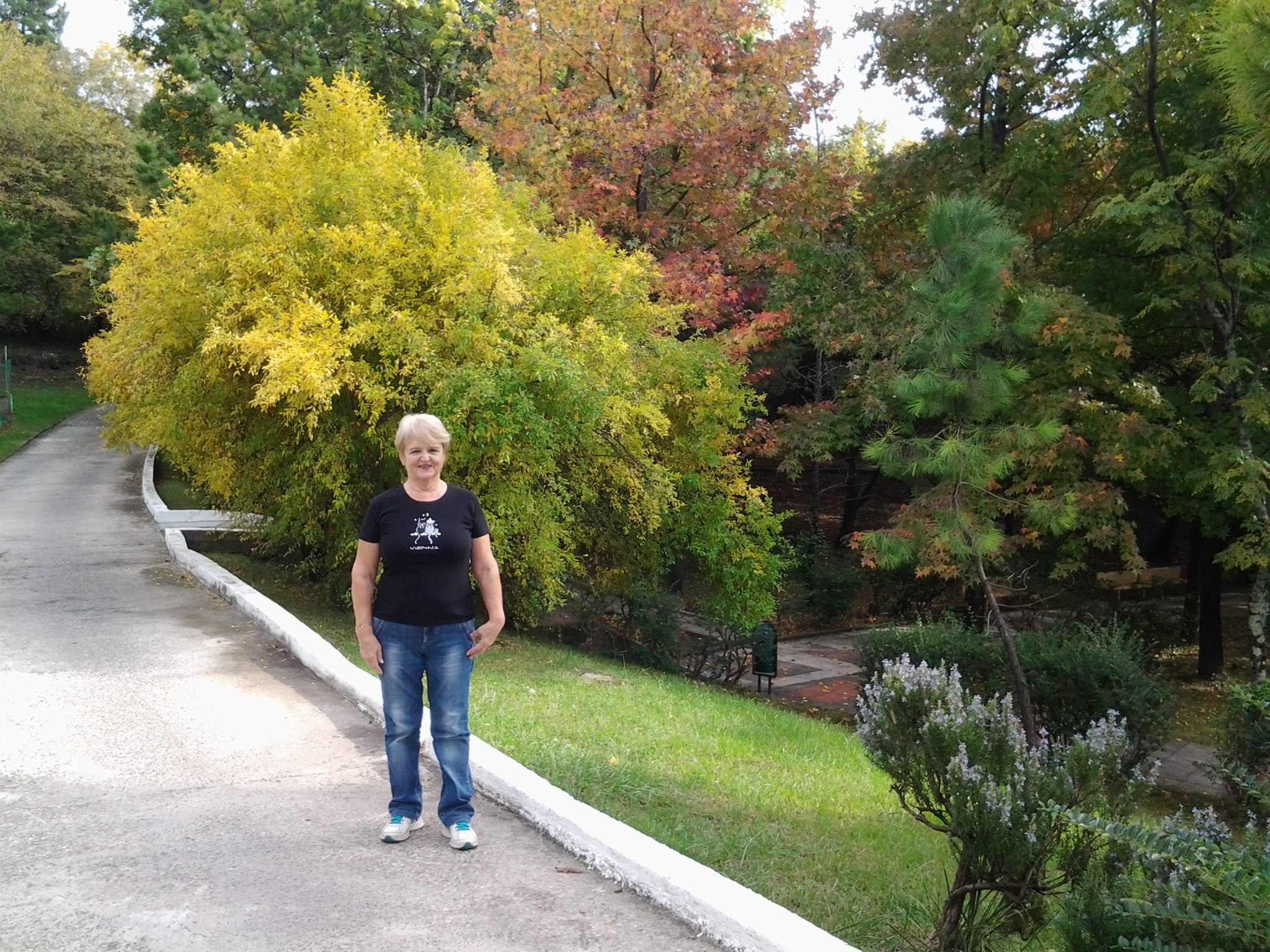  - 13  2016  14:09 - 2