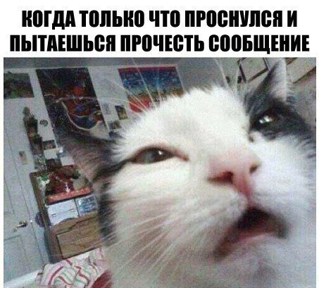    :D - 17  2016  04:34