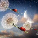  Olga, , 64  -  26  2016    