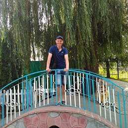 ���������, ������, 37 ���