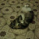 ���� �����, ������� ��������, 54 ���� - ��������� 5 ����� 2017 � ������ ���� ������� �����