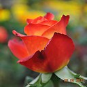 ���� �, ������, 48 ��� - ��������� 6 ������� 2016