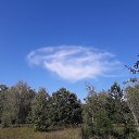 ���� �����, ����, 45 ��� - ��������� 5 ������� 2016 � ������ ������ ��������