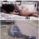 ���� ������, ������, 50 ��� - ��������� 22 ������� 2017 � ������ ������ ��������