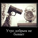 ���� �����, ������, 51 ��� - ��������� 5 ������ 2017