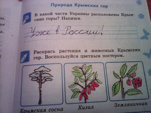 *.  , ,    , ?...    ))))  11 ... - 5