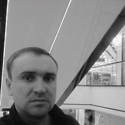 �����, ������, 39 ���