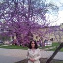 ���� �����, ���������, 53 ���� - ��������� 25 ������� 2016 � ������ ���� ����������