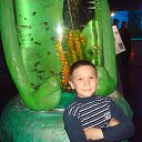 ���� Aleksandr, ��������� - ��������� 31 ������ 2017 � ������ ���������� 04.01.2017�.�