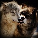 ���� �����, ������������, 58 ��� - ��������� 5 ������� 2016 � ������ ���� ����������
