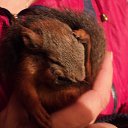 ���� �����, ��������, 57 ��� - ��������� 22 �������� 2016 � ������ ������ ��������