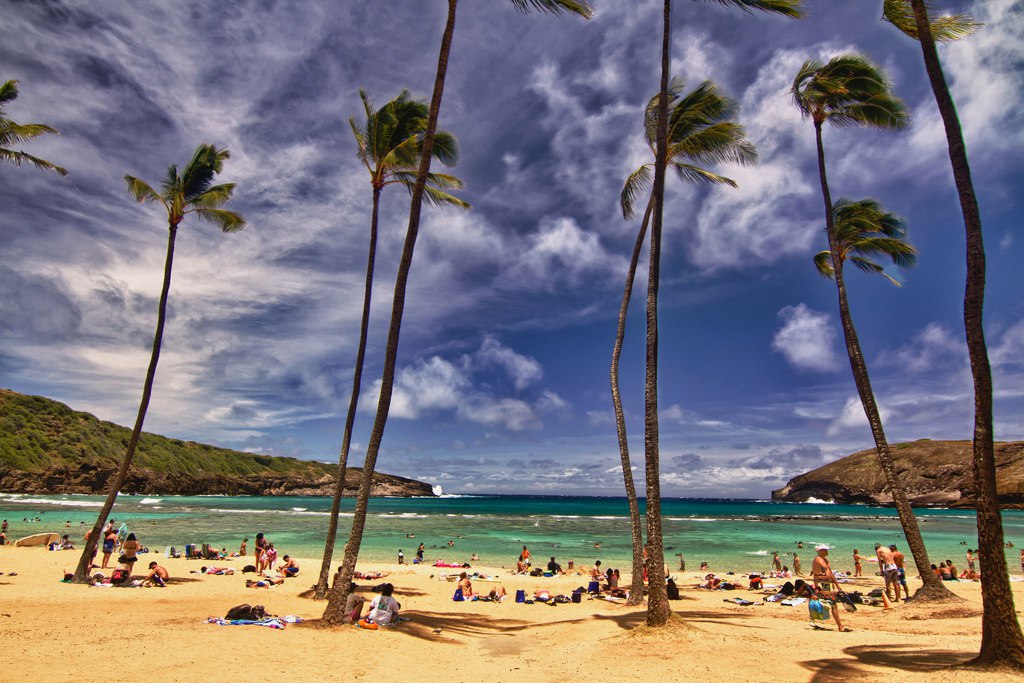   -     .  (Hanauma Bay)   