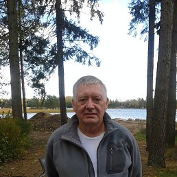 ���������, �����-���������, 71 ���